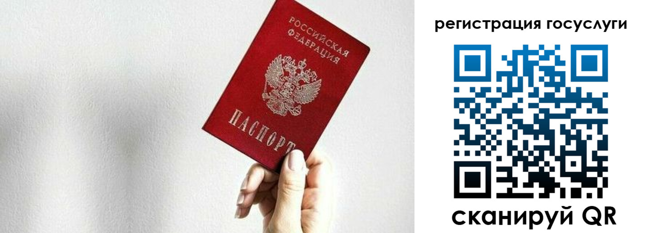 временная регистрация гарантия в Ершове